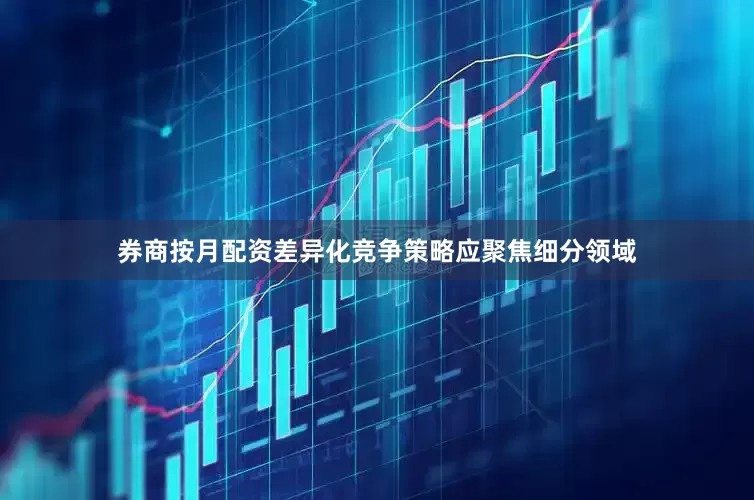 券商按月配资差异化竞争策略应聚焦细分领域