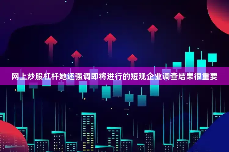网上炒股杠杆她还强调即将进行的短观企业调查结果很重要