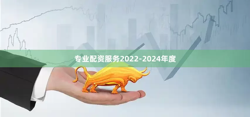 专业配资服务2022-2024年度